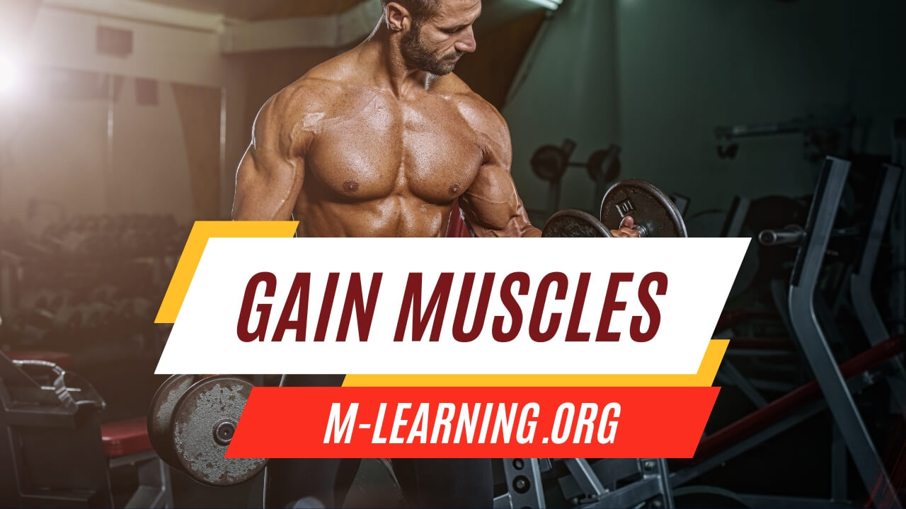 Gain Muscles
